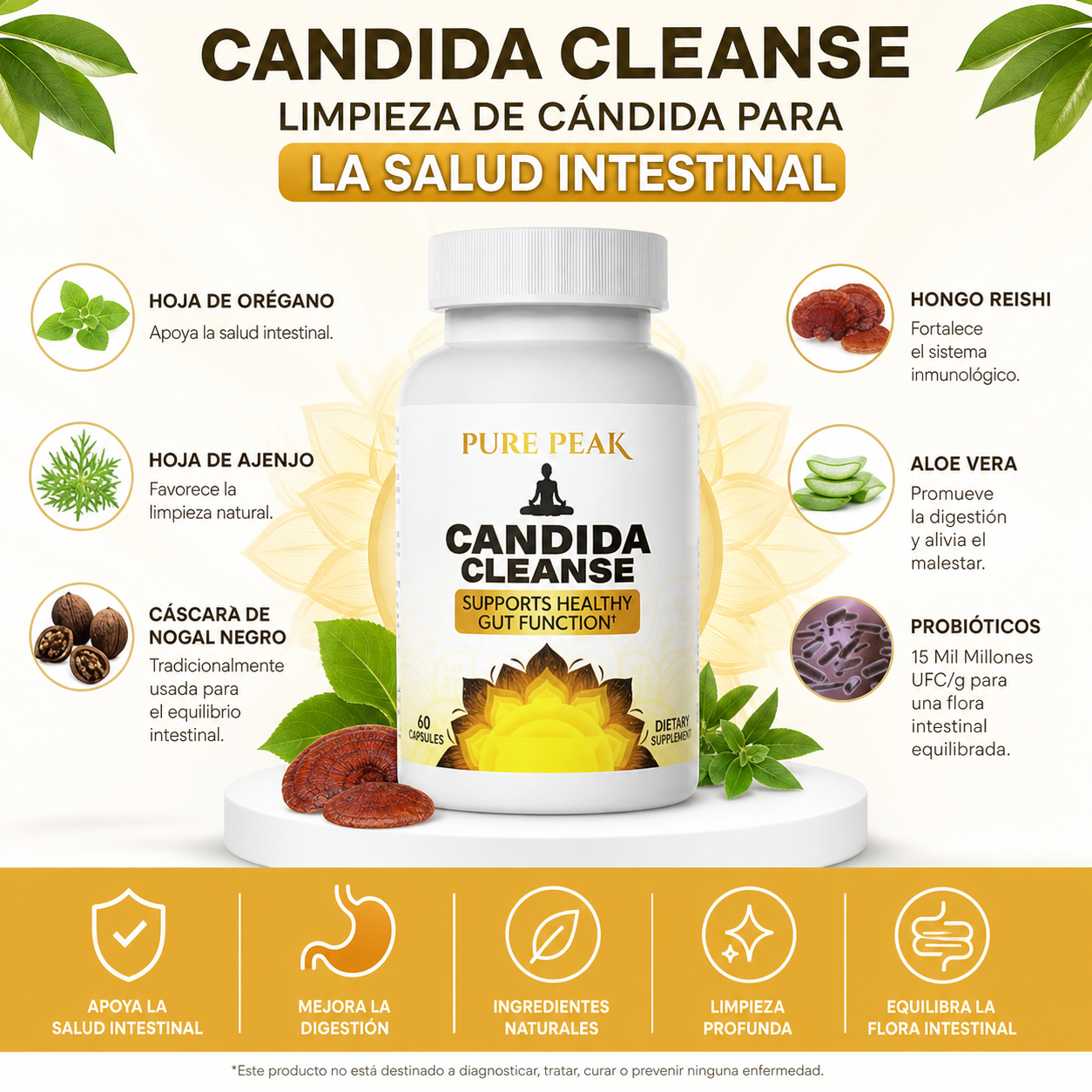 CANDIDA CLEANSE - Equilibra tu intestino, transforma tu bienestar ✨💚