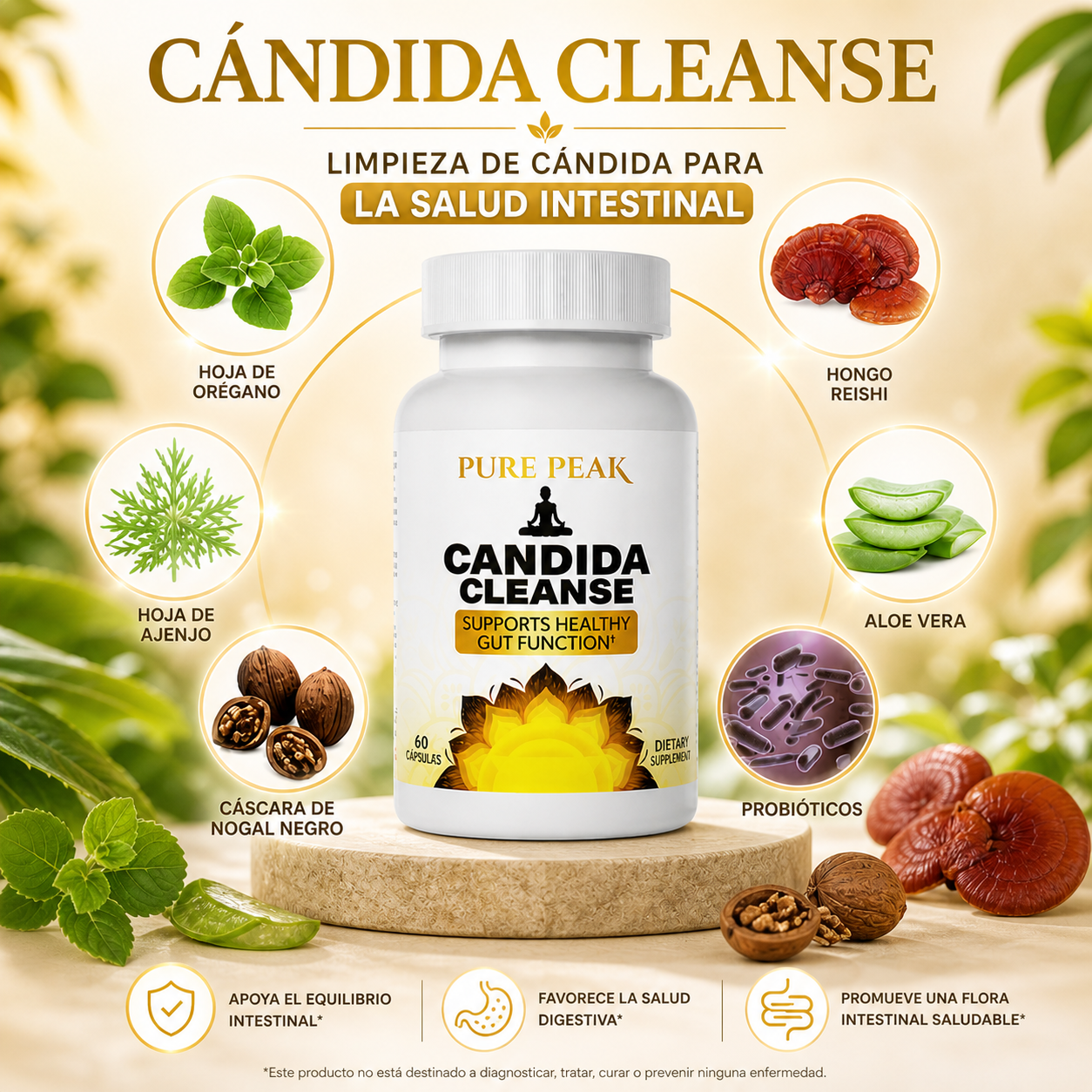 CANDIDA CLEANSE - Equilibra tu intestino, transforma tu bienestar ✨💚